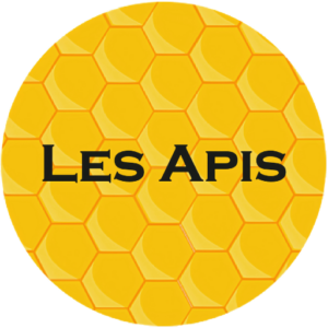 Collectif Les APIS